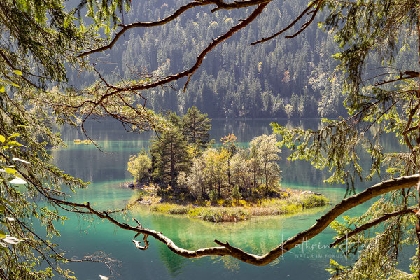 Am Eibsee/Bayern