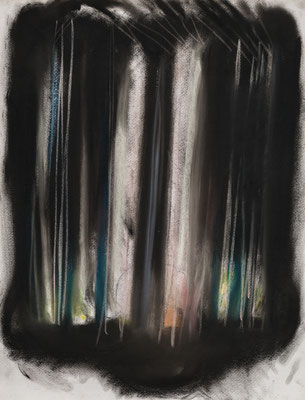 Untitled　pastel on paper　P10(53.0×41.0cm)　個人蔵