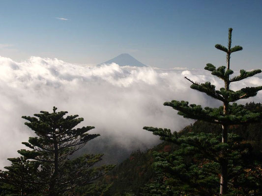 富士山