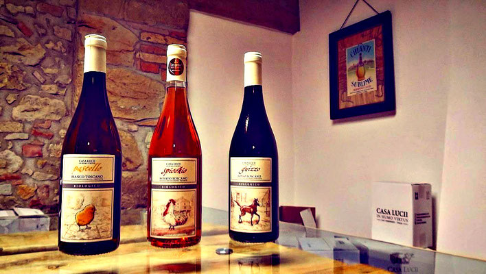 Casa Lucii - San Gimignano 
