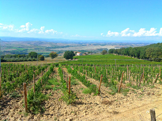 Poggio Grande Val d'Orcia Unesco. Itinerari di vino. Foto Blog Etesiaca