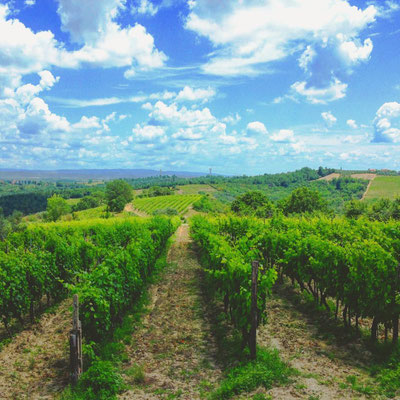 Agricola Tamburini - Chianti