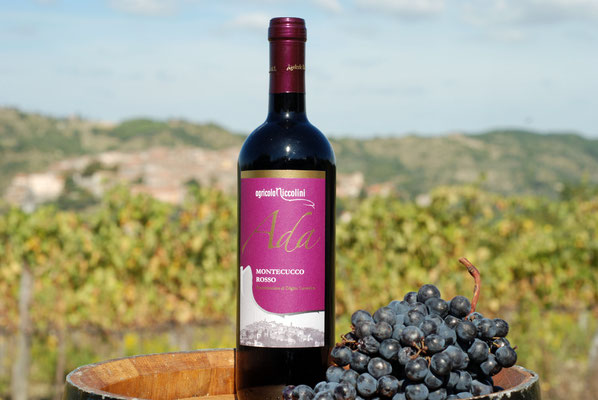 Agricola Niccolini - Amiata