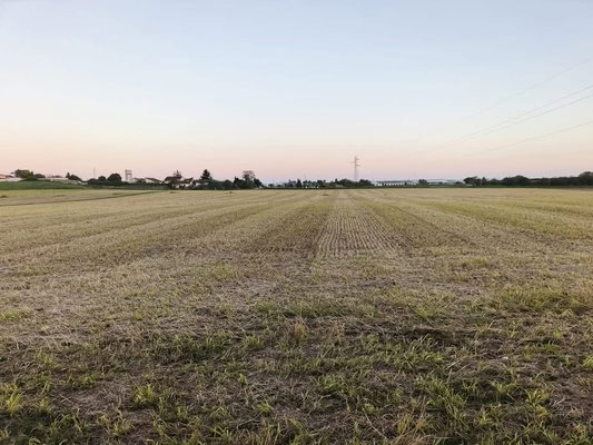 Tank 4 photo capteur principale2