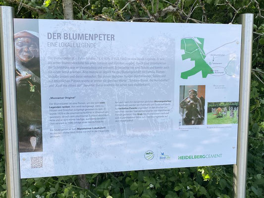 Die Geschichte vom Blumenpeter