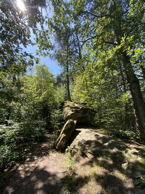 auf dem Weg zum Aussichtspunkt