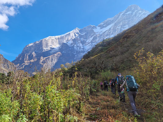 Rund um den Dhaulagiri Trekking 2023 mit AMICAL ALPIN