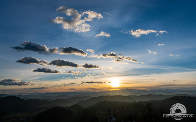 Sonnenaufgang auf dem Schauenberg - Zürich Winter 2021