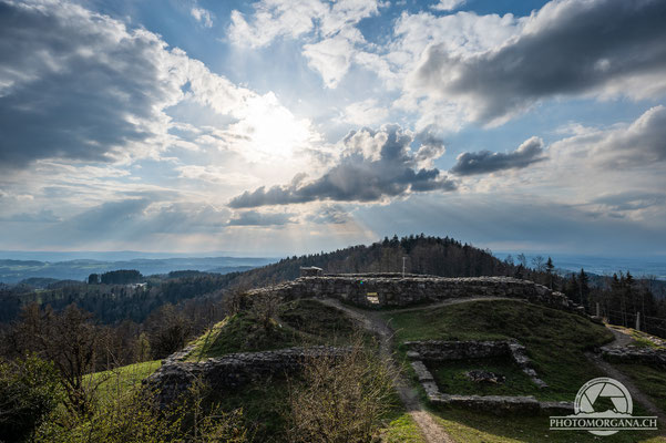 Sonnenaufgang auf dem Schauenberg - Zürich Frühling 2021