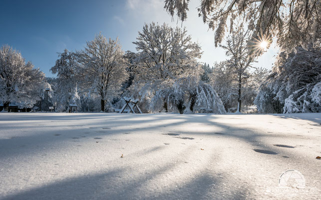 Bichelsee im Schnee - Thurgau 16. Januar 2021