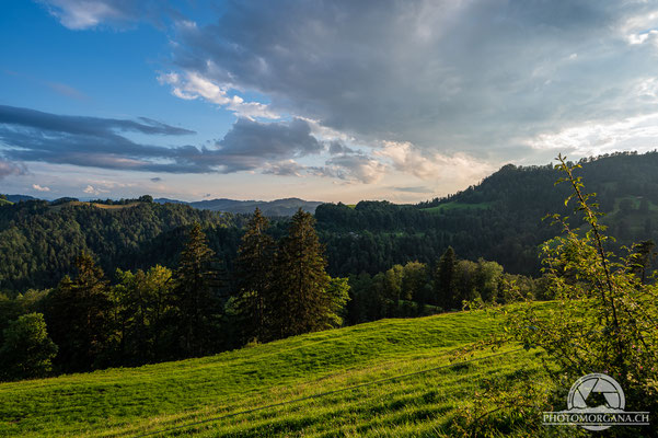 Zwischen Hulftegg und Hörnli - St. Gallen im Juli 2020