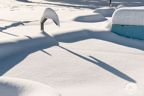 Bichelsee im Schnee - Thurgau 16. Januar 2021