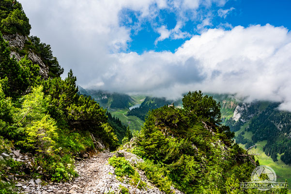 Blick zum Fälensee vom Stauberenfirst - Alpstein im Sommer 2021