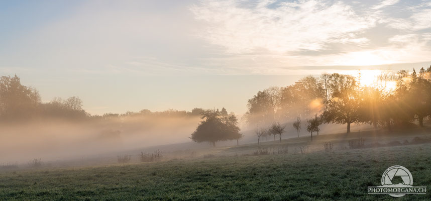 Homberg bei Bichelsee - Zürich Herbst 2020