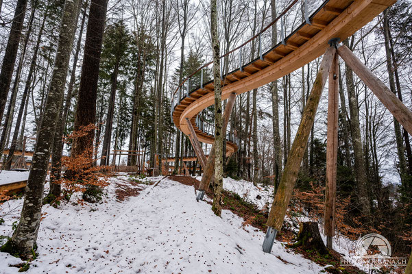 Baumwipfelpfad Mogelsberg - Neckertal Winter 2020