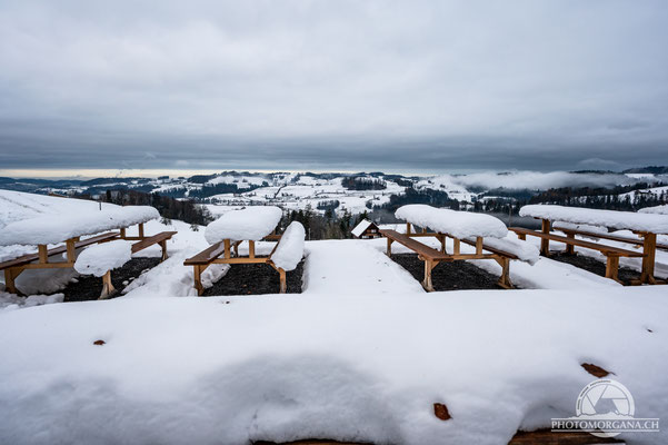 Baumwipfelpfad Mogelsberg - Neckertal Winter 2020