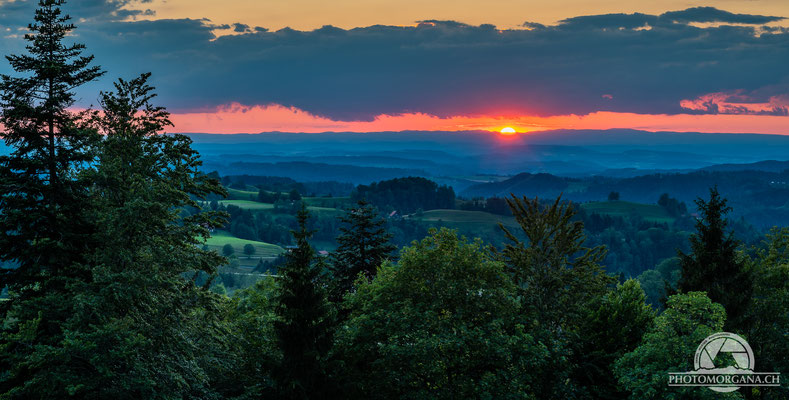 Zwischen Hulftegg und Hörnli - St. Gallen im Juli 2020