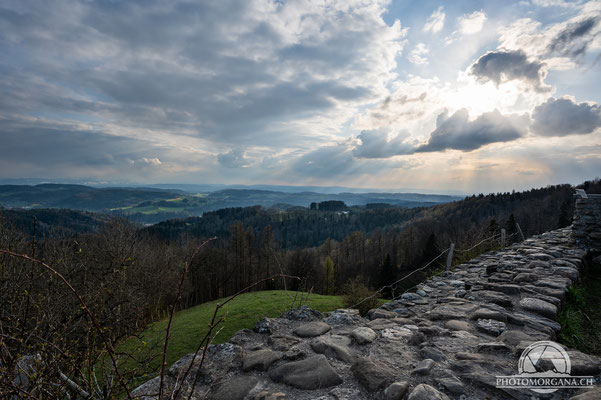 Sonnenaufgang auf dem Schauenberg - Zürich Frühling 2021