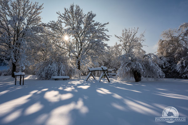 Bichelsee im Schnee - Thurgau 16. Januar 2021