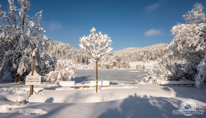 Bichelsee im Schnee - Thurgau 16. Januar 2021