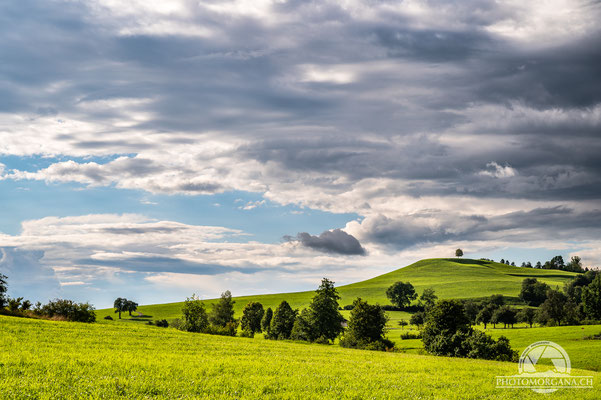 Wallenwil - Thurgau Sommer 2021