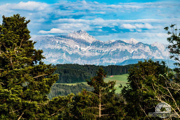 Blick zum Säntis von Bichelsee - Thurgau Sommer 2021