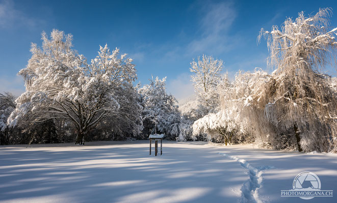 Bichelsee im Schnee - Thurgau 16. Januar 2021