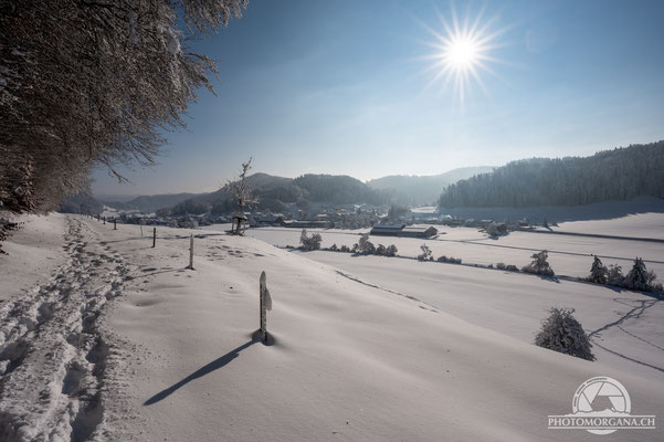 Bichelsee-Balterswil im Schnee - Thurgau 16. Januar 2021