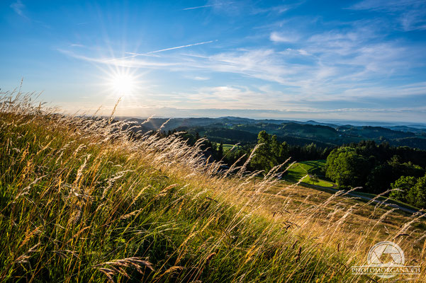 Sonnenuntergang Allenwinden (Hoger) - Thurgau Sommer 2021