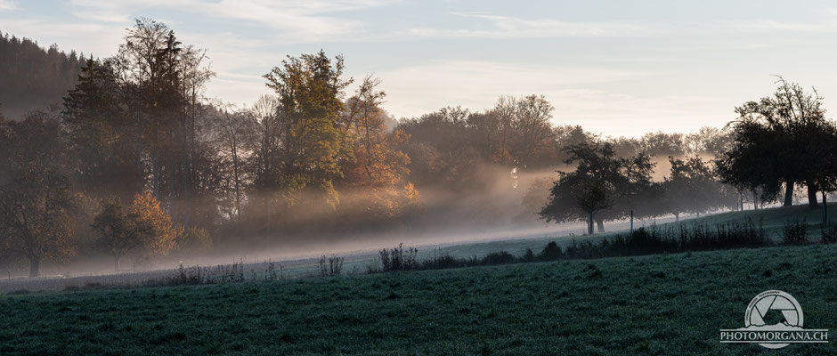 Homberg bei Bichelsee - Zürich Herbst 2020