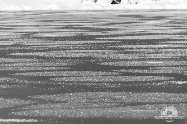 Bichelsee im Schnee - Thurgau 16. Januar 2021