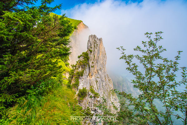 Heierli-Nadel zwischen Stauberen und Hoher Kasten - Alpstein 2016