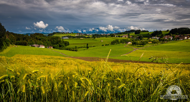 Dietschwil bei Kirchberg - St. Gallen 2020