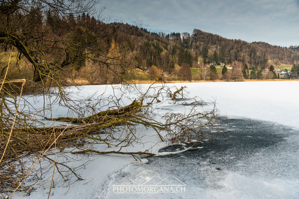 Bichelsee im Winter - Thurgau 2018