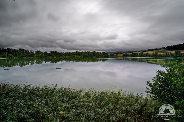 Aussichtsturm am Hüttwilersee im Seebachtal - Thurgau Sommer 2020