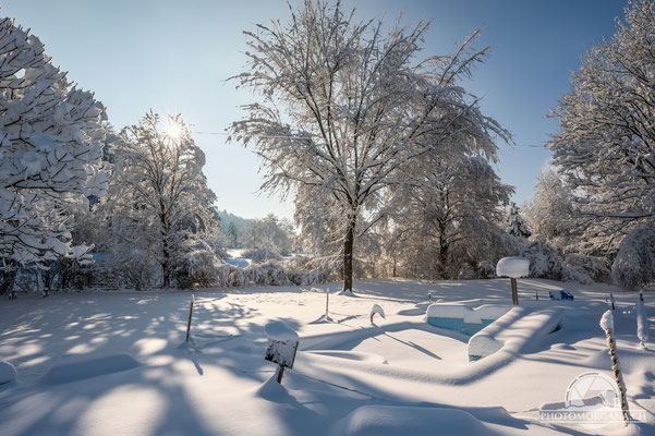 Bichelsee im Schnee - Thurgau 16. Januar 2021