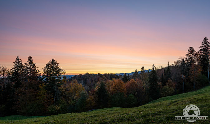 Sonnenaufgang auf der Hulftegg - St. Gallen Herbst 2020