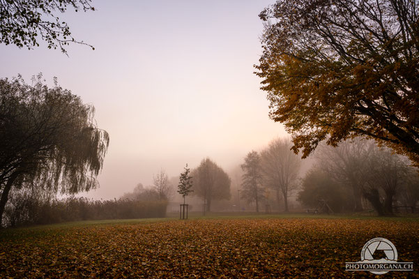 Morgenstimmung am Bichelsee - Thurgau Herbst 2020