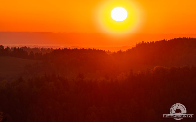 Sonnenaufgang auf der Hulftegg - Zürich Frühling 2021