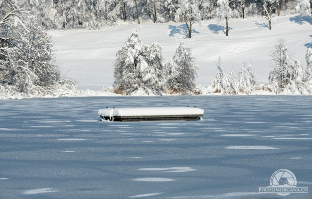 Bichelsee im Schnee - Thurgau 16. Januar 2021