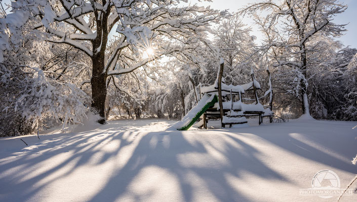 Bichelsee im Schnee - Thurgau 16. Januar 2021