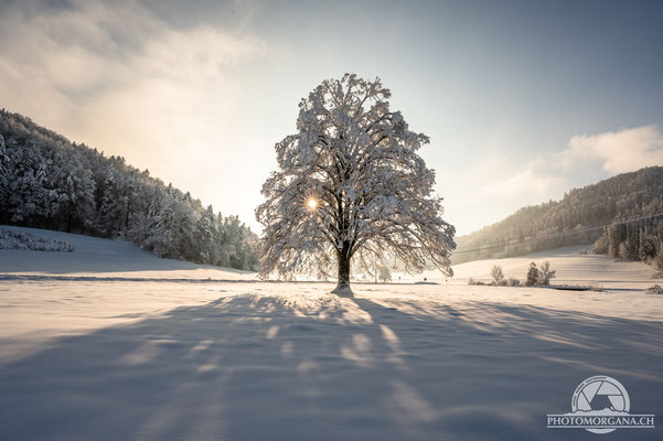 Bichelsee-Balterswil im Schnee - Thurgau 16. Januar 2021