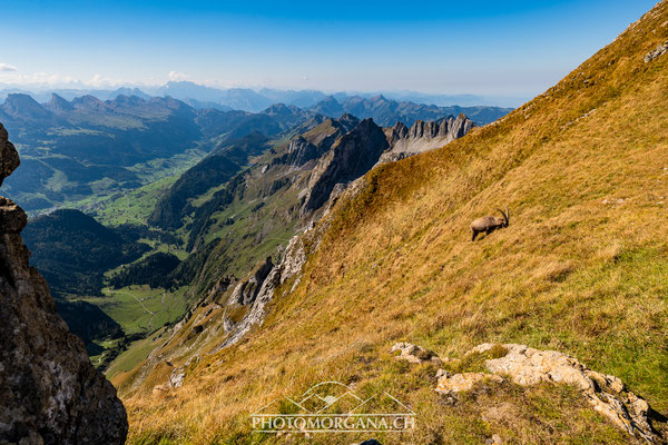 Blick vom Säntis ins Toggenburg - Alpstein 2018