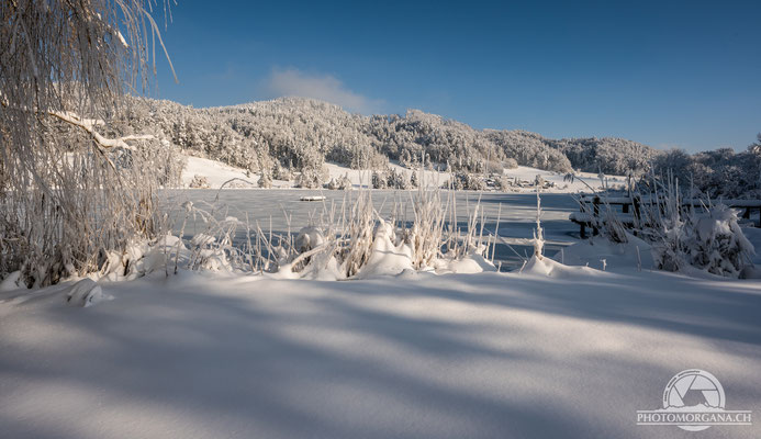 Bichelsee im Schnee - Thurgau 16. Januar 2021