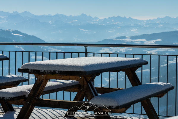 Hörnli im Schnee - Zürich/Thurgau 2018