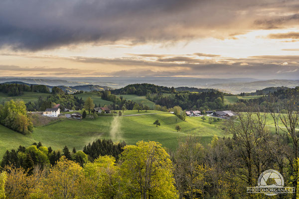 Sonnenaufgang auf dem Sitzberg - Zürich Frühling 2021