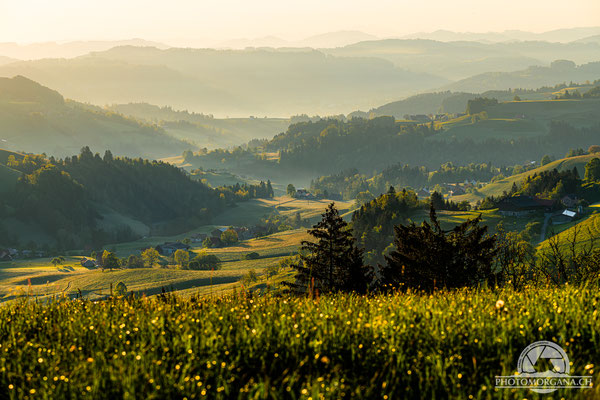 Sonnenaufgang auf der Hulftegg - Zürich Frühling 2021