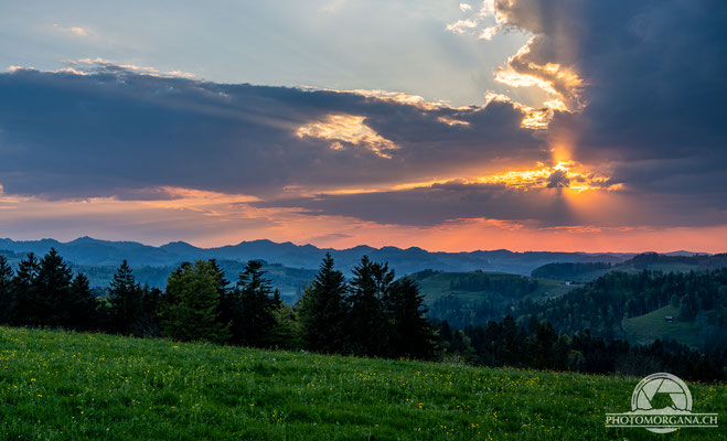 Sonnenuntergang auf dem Wolfensberg - St. Gallen im Frühling 2020