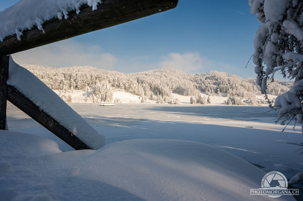 Bichelsee im Schnee - Thurgau 16. Januar 2021