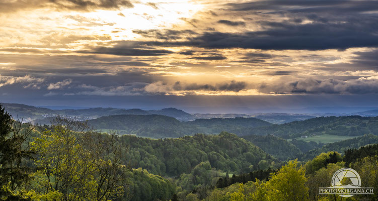 Sonnenaufgang auf dem Sitzberg - Zürich Frühling 2021